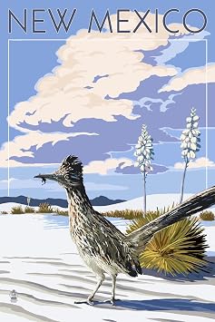 AllPosters Wall Art Print New Mexico - Roadrunner Scene by Lantern Press, 24x36
