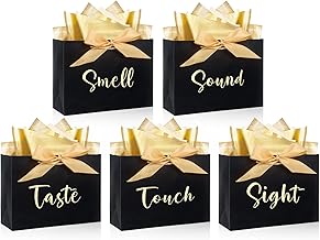 5 Senses Gift Bags with 10 Sheets Tissue Paper, 28×10×20 cm Reusable Black Gift Bags for Creative Gifting