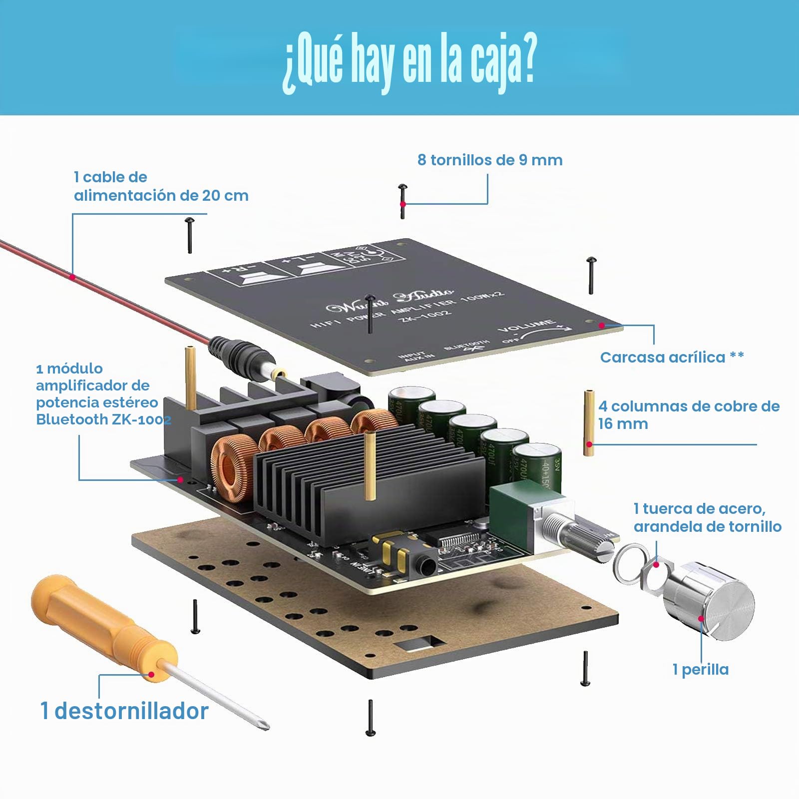 Placa amplificadora Bluetooth 200W TPA3116, Placa de Amplificador de Audio 100W + 100W con técnica de Filtro LC, Canal Dual DC8-24V, conexión sin contraseña al teléfono en Silencio