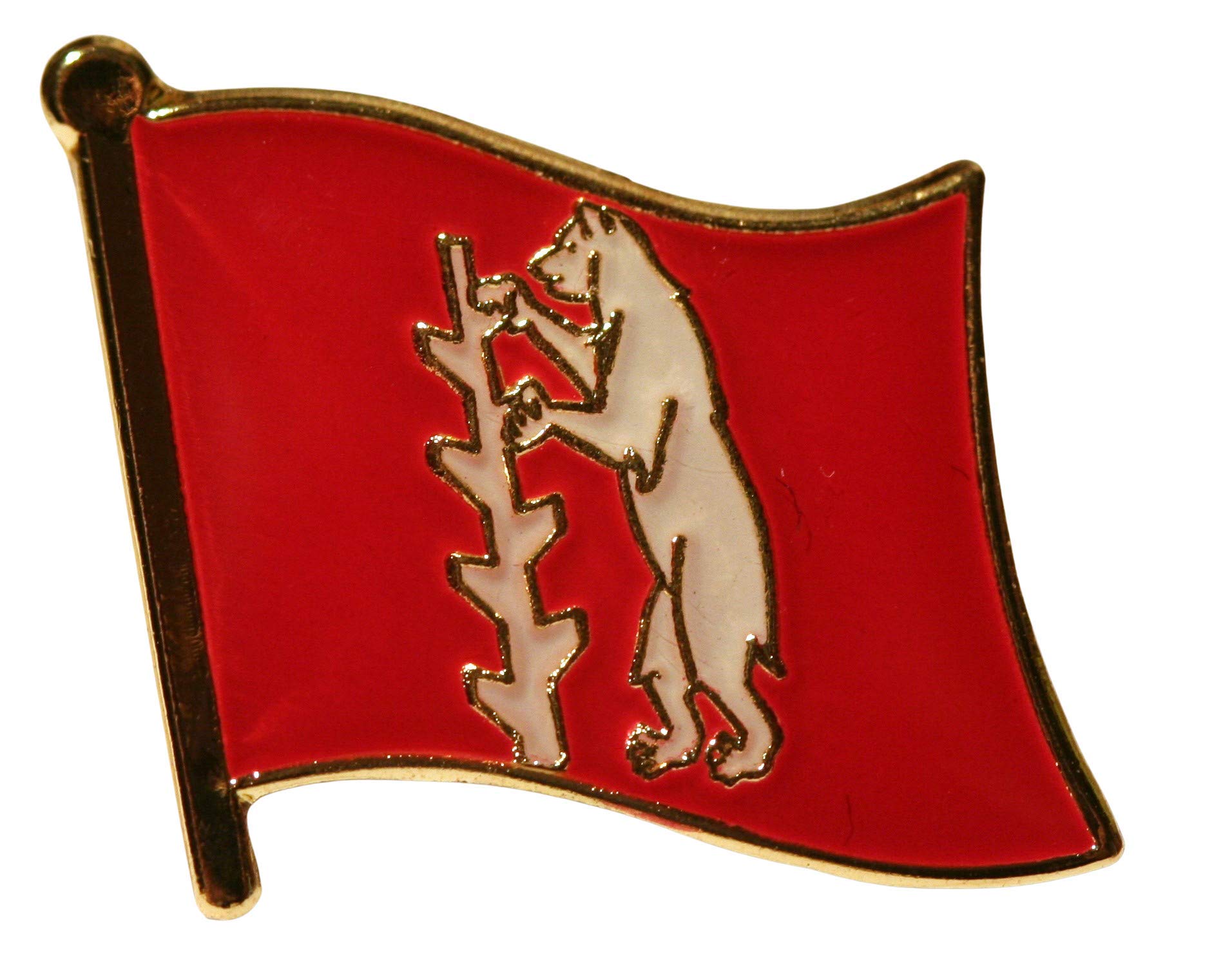 Warwickshire County Flag Pin Badge
