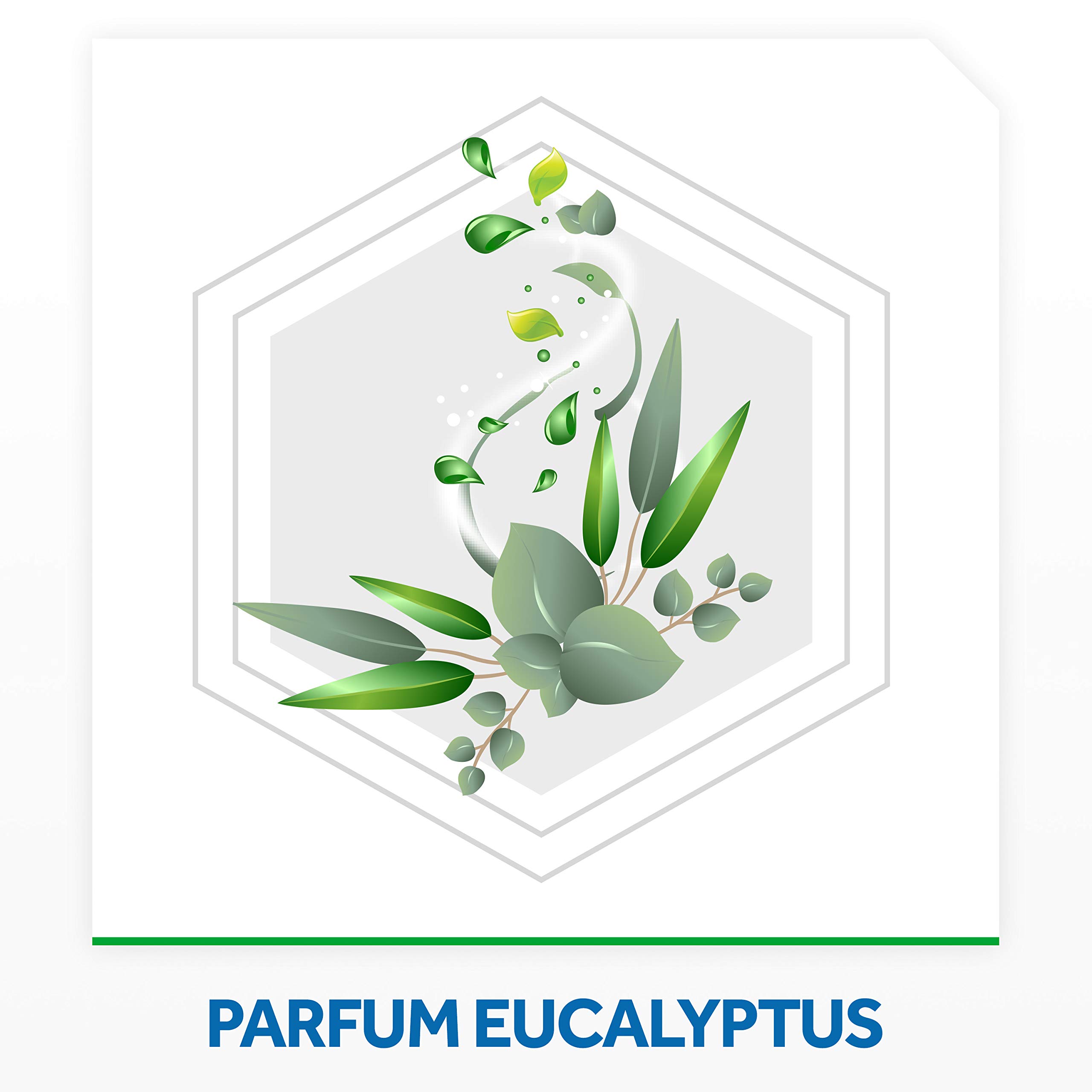 Raid Max Aérosol Mouches et Moustiques 2 en 1 Action Rapide Longue Durée Parfum Eucalyptus 24h