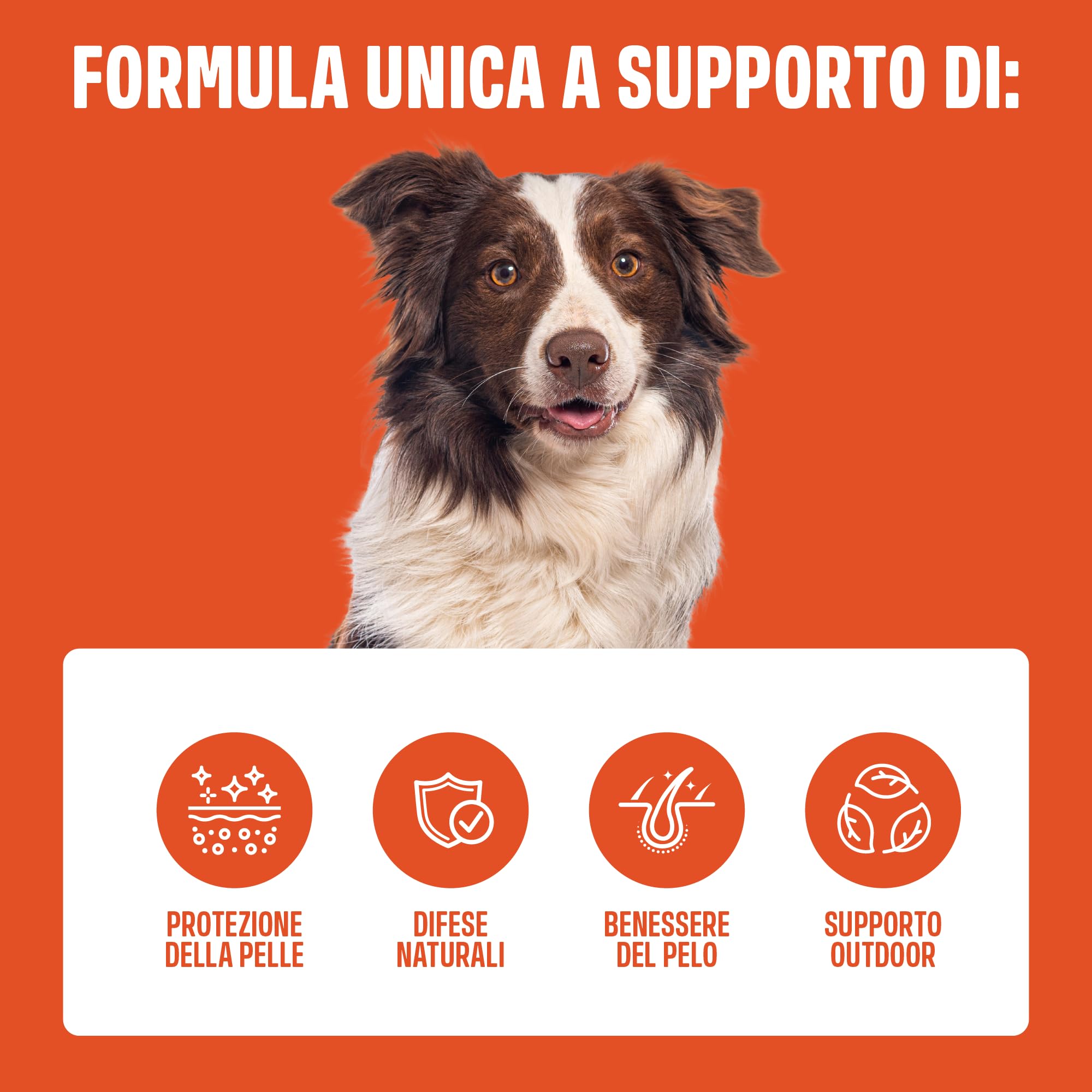 ivvi Outdoor per Cani – Snack Morbidi con Lievito di Birra, Olio di Cumino Nero, Olio di Krill e Cisto – Pelle, Pelo e Difese Naturali – 270 g, 60 Snack