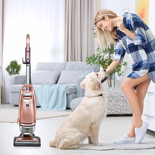 Miniatura 7 de Paquete de 3 filtros HEPA K3010 para Kenmore BU4022  BU4050  BU4020  BU4018  BU3040  DU2012  DU2015  DU5080  DU5092  DU2001 Juego de filtros