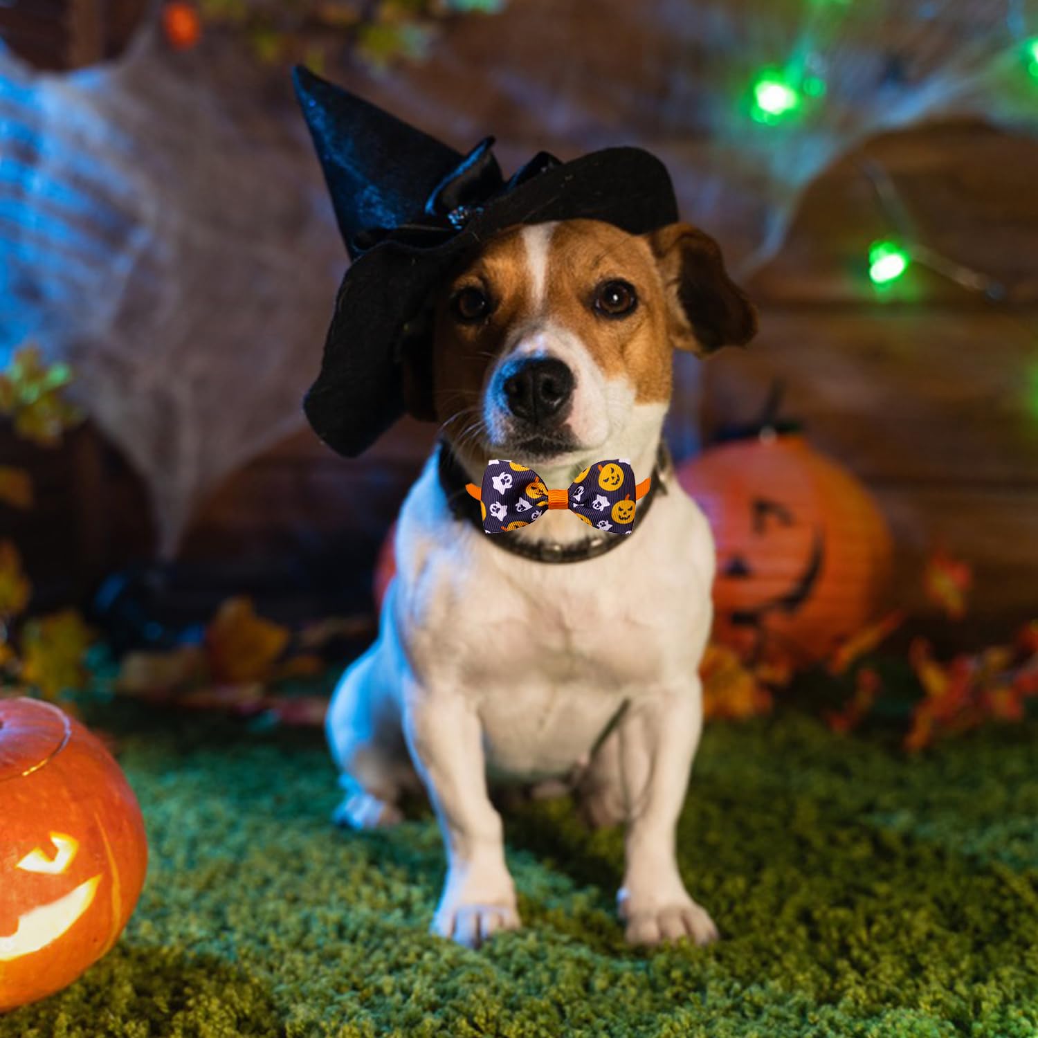 Bohue 3pcs Halloween Dog Bowties Adjustable Comfortable Dog Collar Pumpkin Dog Collars Puppy Bow Ties for Small Medium Dogs - Image 4