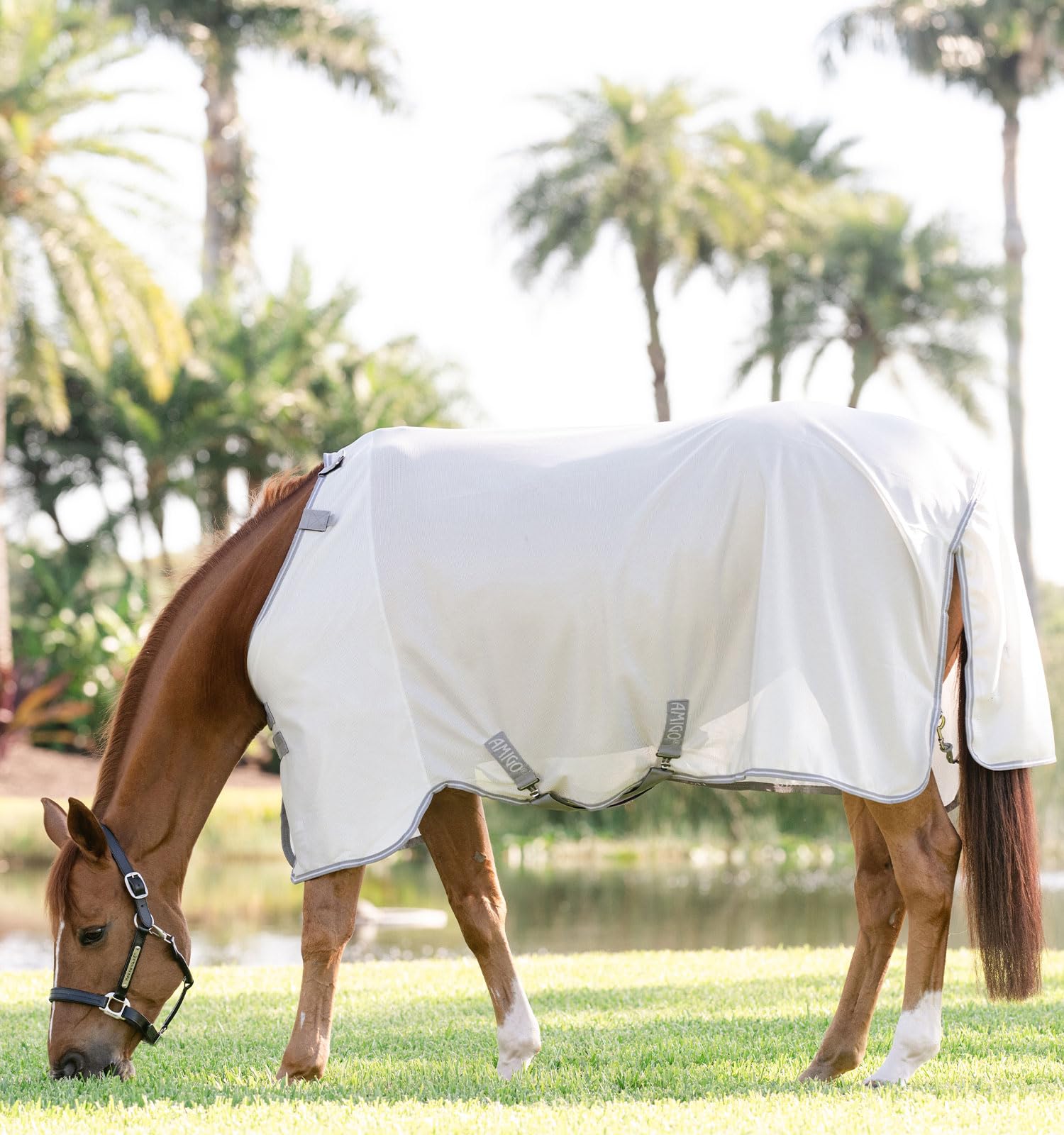 Amigo® Bug Rug Fly Sheet