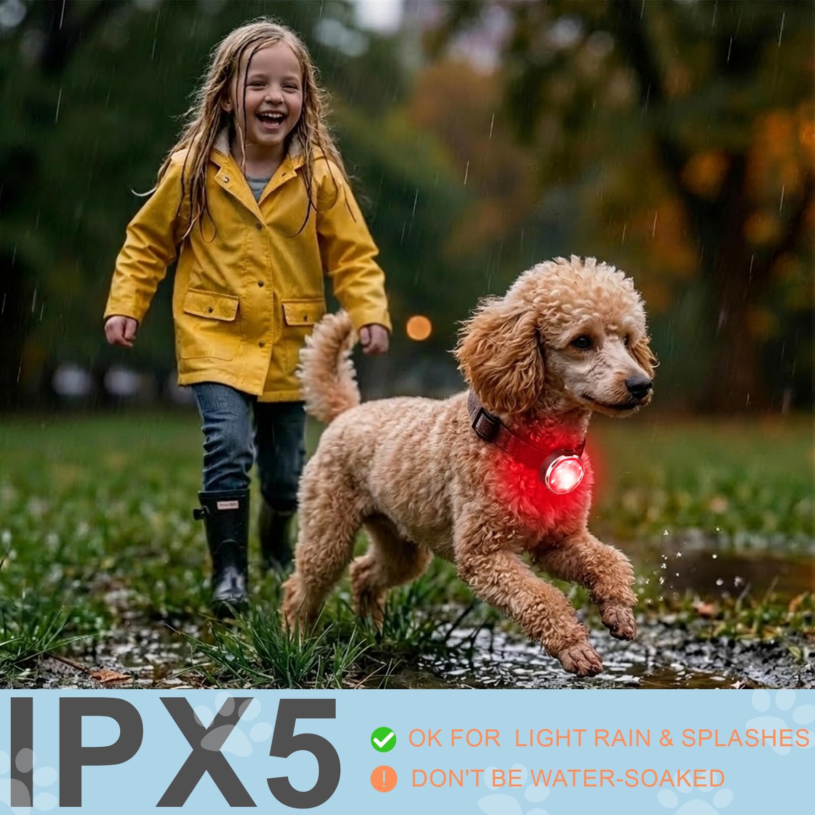 Confezione da 2 luci per collare per cani, ricaricabili USB-C, con clip, impermeabili, con cinturino in silicone regolabile, per passeggiate notturne, campeggio (RGB 7 colori)