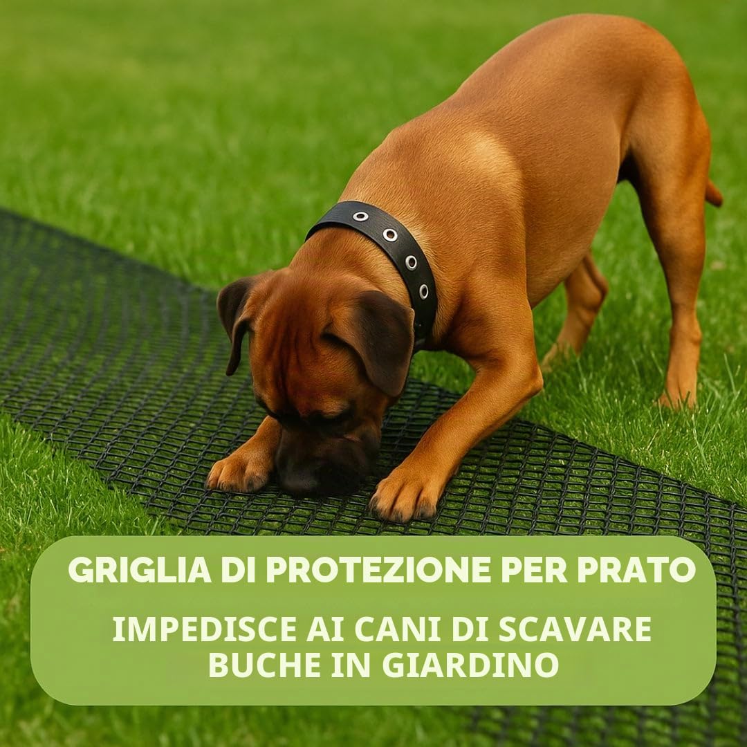Florade Griglia per prato, larghezza 1,3 m, griglia contro cani che scavano, griglia in plastica HDPE per rinforzare il prato, maglie da 30 mm, 600 g/m², flessibile, lunghezza 10 m + 30 picchetti di