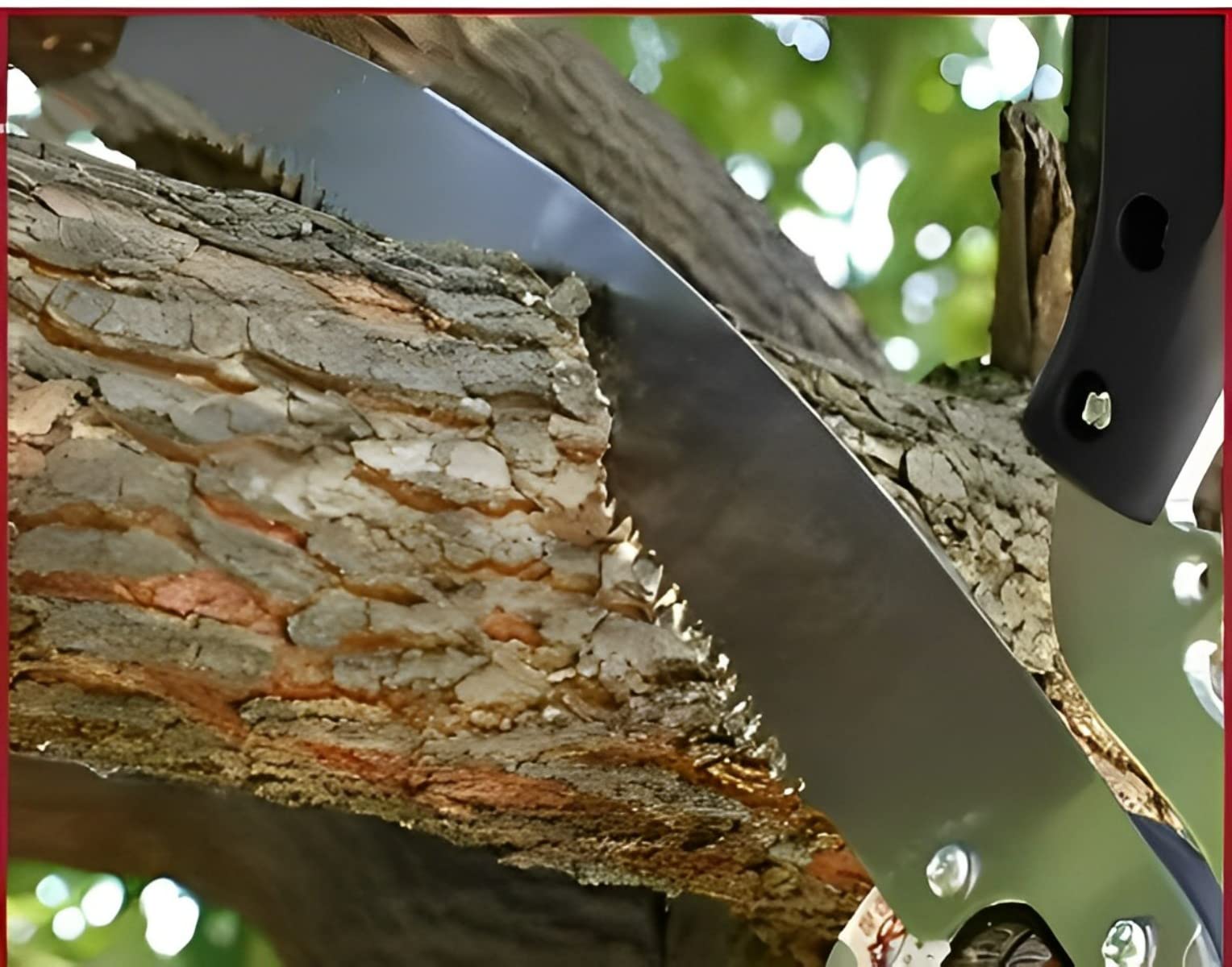 Tree Razor Pruning Saw Unibos Telescopic Tree Pruner - Extendable Aluminium Pole ...