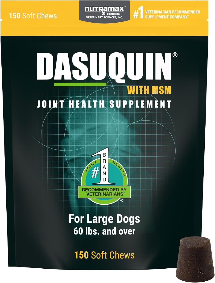 Nutramax Dasuquin MSM Joint Supplement for Large Dogs, Soft Chews, 150ct | Glucosamine and Chondroitin, ASU, MSM, Supports Healthy Joints, For Dogs Over 60 lbs, All Ages, Soft Chews