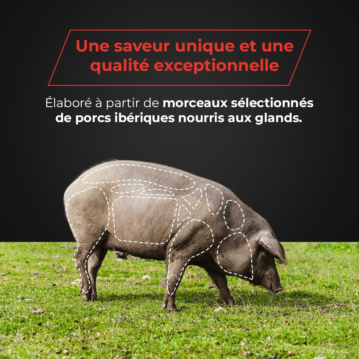 Chorizo ​​​​Cular Bellota Ibérique Moyen - Préparation Traditionnelle, Affiné pendant 4-6 mois - Saveur Intense - Convient aux Coeliaques - Entre 600 et 750 g 1,4 – 1,7 KG - EIbérico