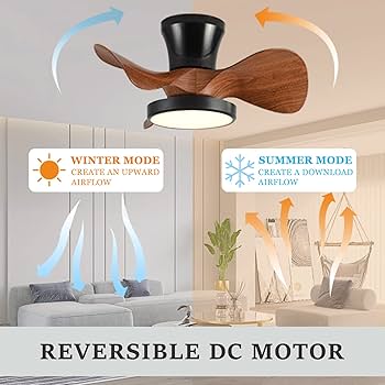 DBFAIRY Plafondventilator met verlichting en afstandsbediening, 52 cm, 40 W, 3000 K-6500 K, plafondlamp met ventilator, 3 windniveaus, stil, dimbaar