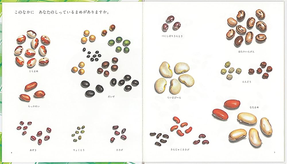 Amazon.co.jp: まめ (かがくのとも絵本) : 平山和子, 平山和子