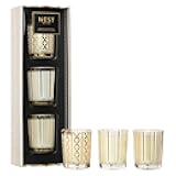 NEST New York Festive Scented Votive Candle Trio - 2 oz Each - Includes Holiday, Birchwood Pine, Crystallized Ginger & Vanilla Bean - Up to 28-Hour Burn Time - Reusable Glass Vessel