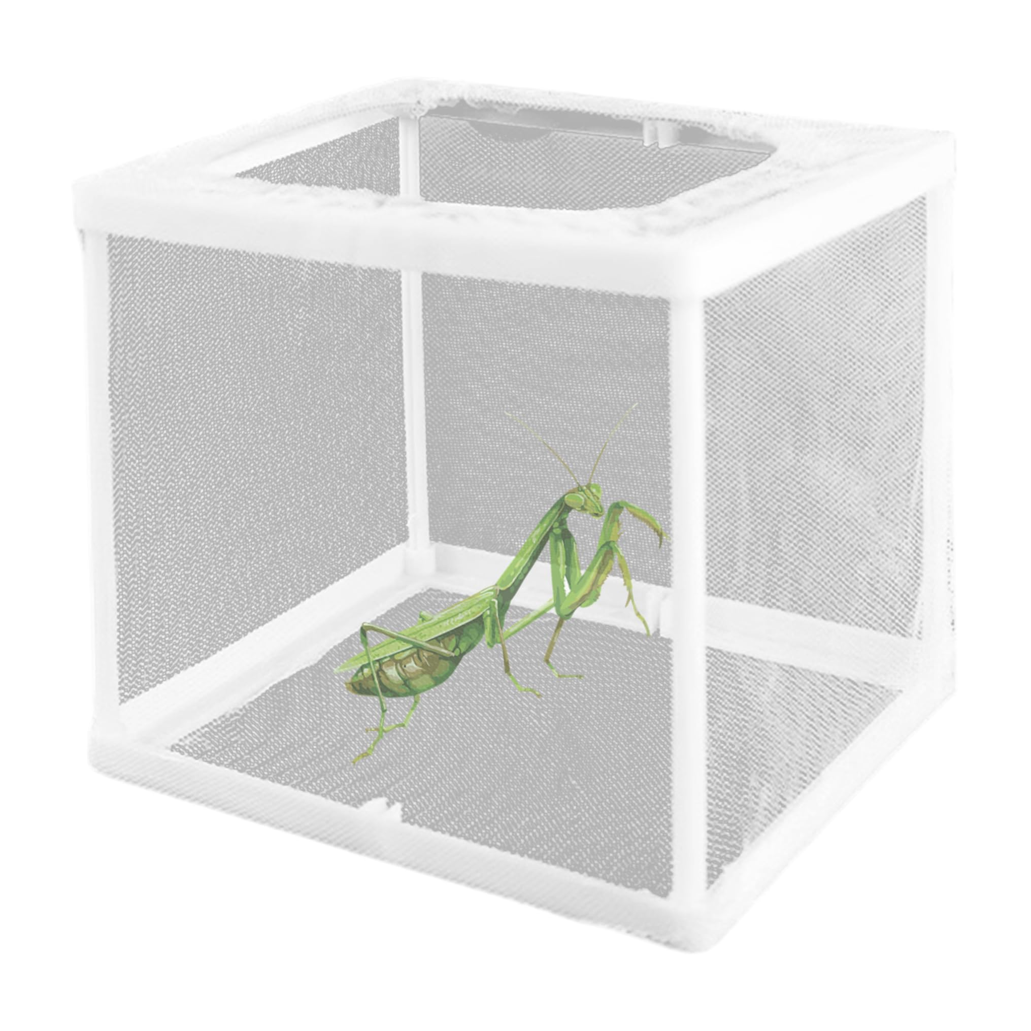 アビソ プレイング・マンティス5'4″ AVISO PRAYING MANTIS What type