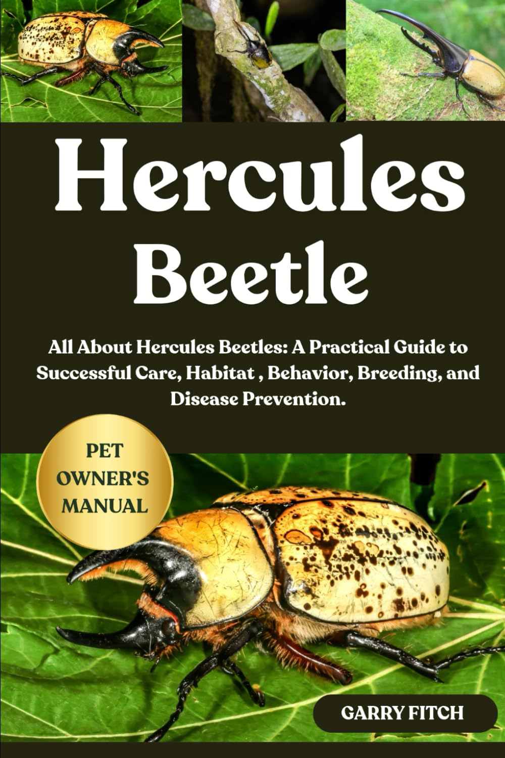 HERCULES BEETLE: All About Hercules Beetles: A Practical Guide to Successful Care, Habitat , Behavior, Breeding, and Disease Prevention.