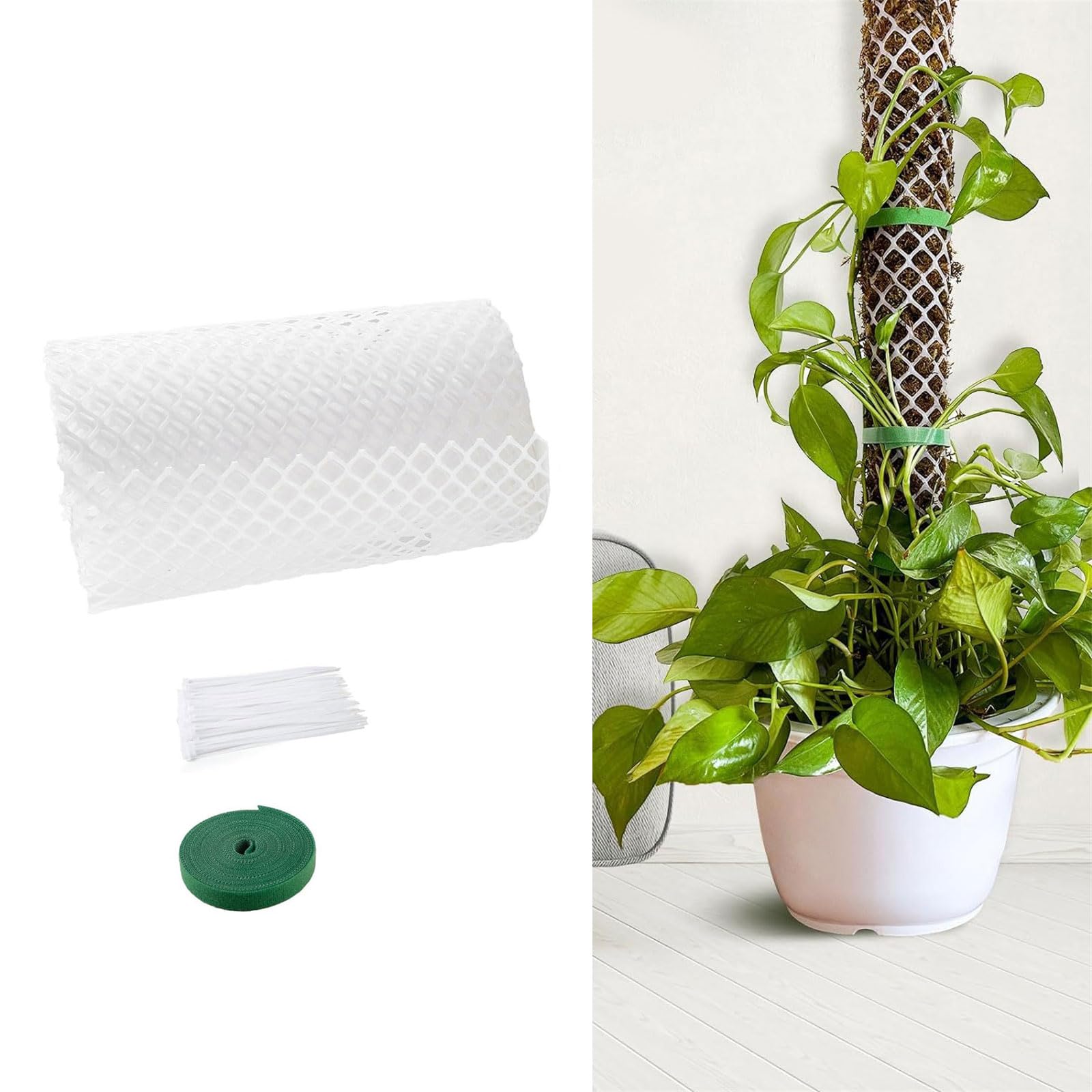 Kit de bâtons de mousse en plastique pour plantes Monstera, ruban de fixation pour plantes d'intérieur et de jardin, sphaigne en plastique