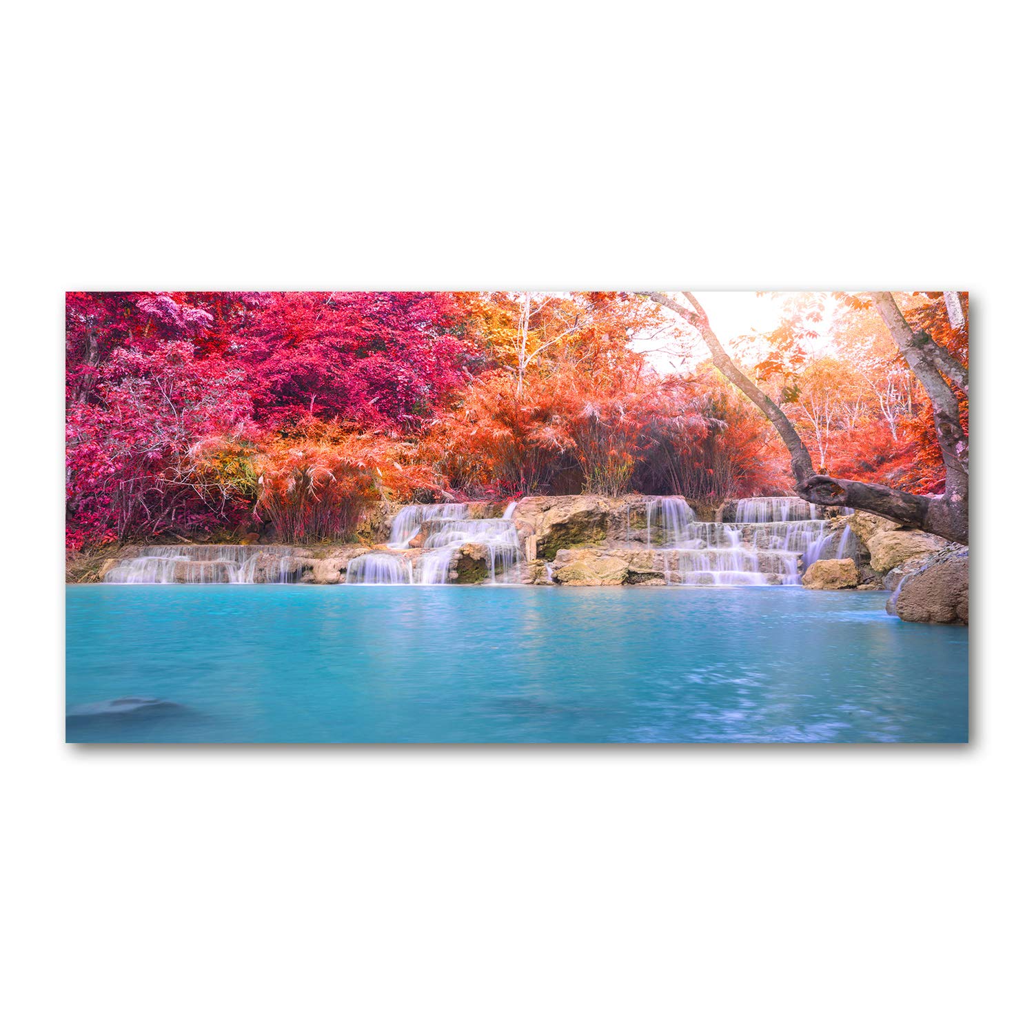 Image tableau photo de qualité supérieure 120x60 cm paysage boisé