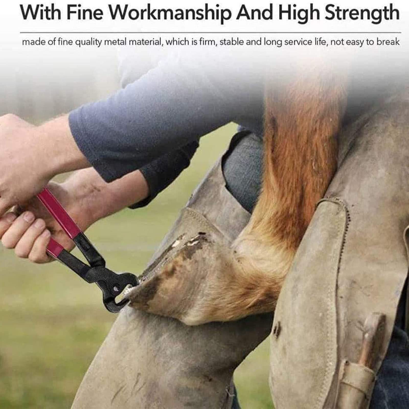 Farriers - Tronchesina per zoccoli per cavalli, cesoie per metalli equini, strumenti di taglio per una perfetta salute degli zoccoli, attrezzature veterinarie per l'allevamento di mucche