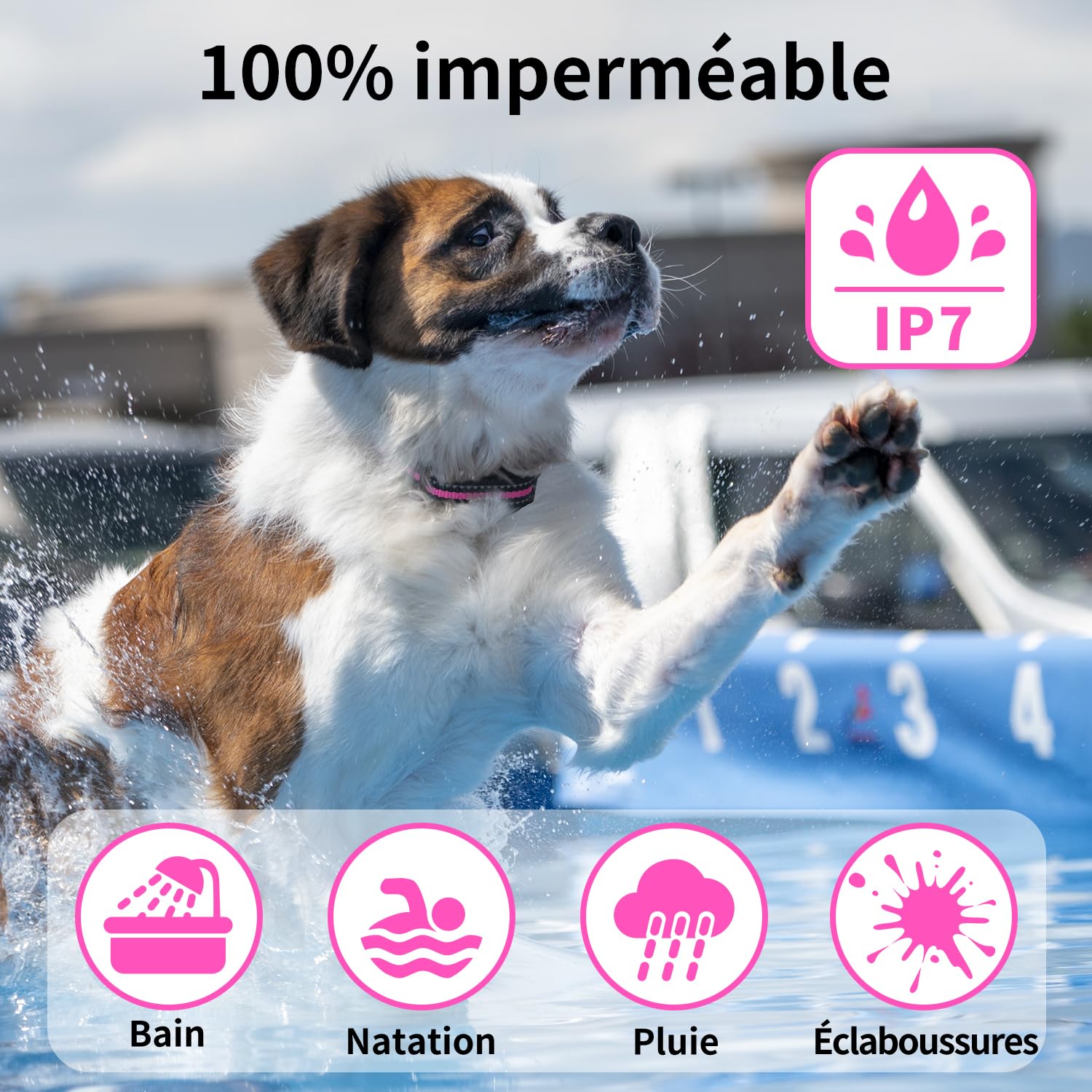 Collier de Dressage pour Chiens, Collier Vibrant pour Chien sans Choc, Portée 1000m, Étanche IP67, Batterie Longue Durée avec Adapté pour Chien Petit, Moyen et Grand