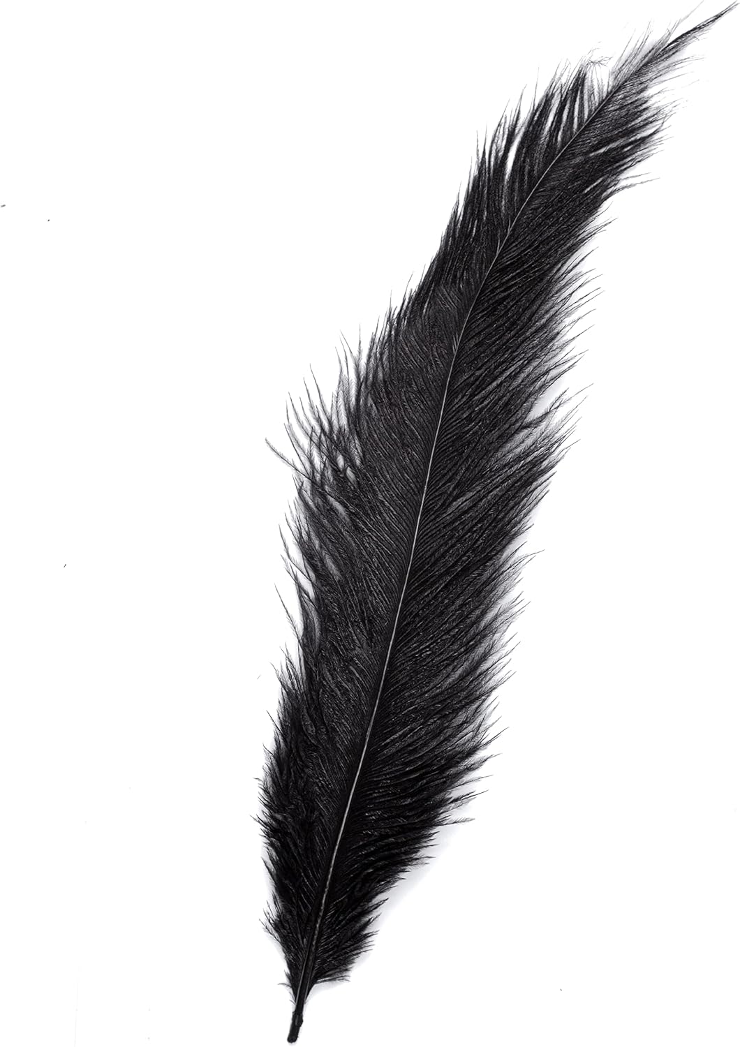 Ostrich Feathers 10" 12" / 25cm 30cm Pick Quantity / 25 Colours