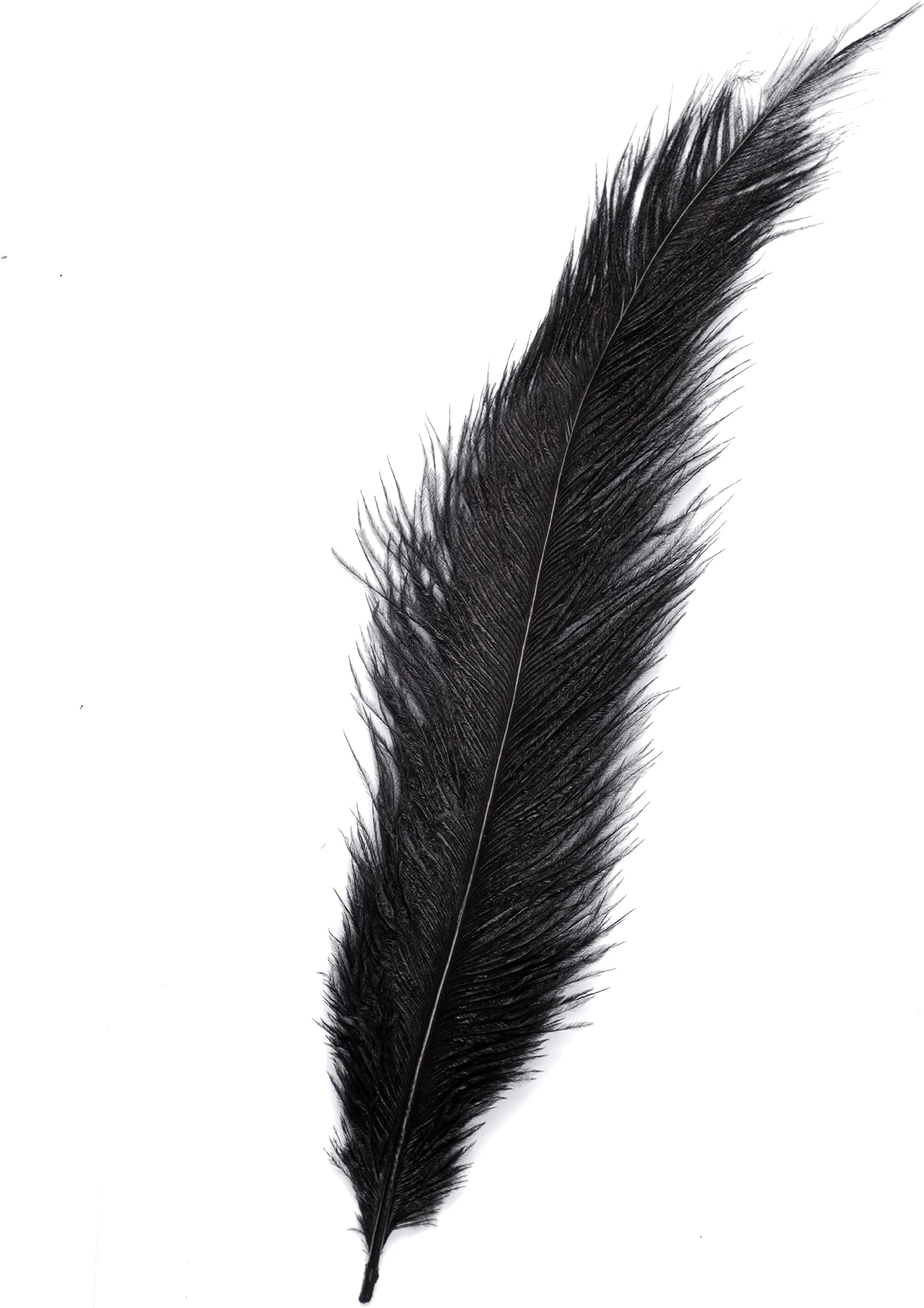 Ostrich Feathers - 10" - 12" / 25cm - 30cm - Pick Quantity / 25 Colours (Black, 3 x Ostrich Feathers)