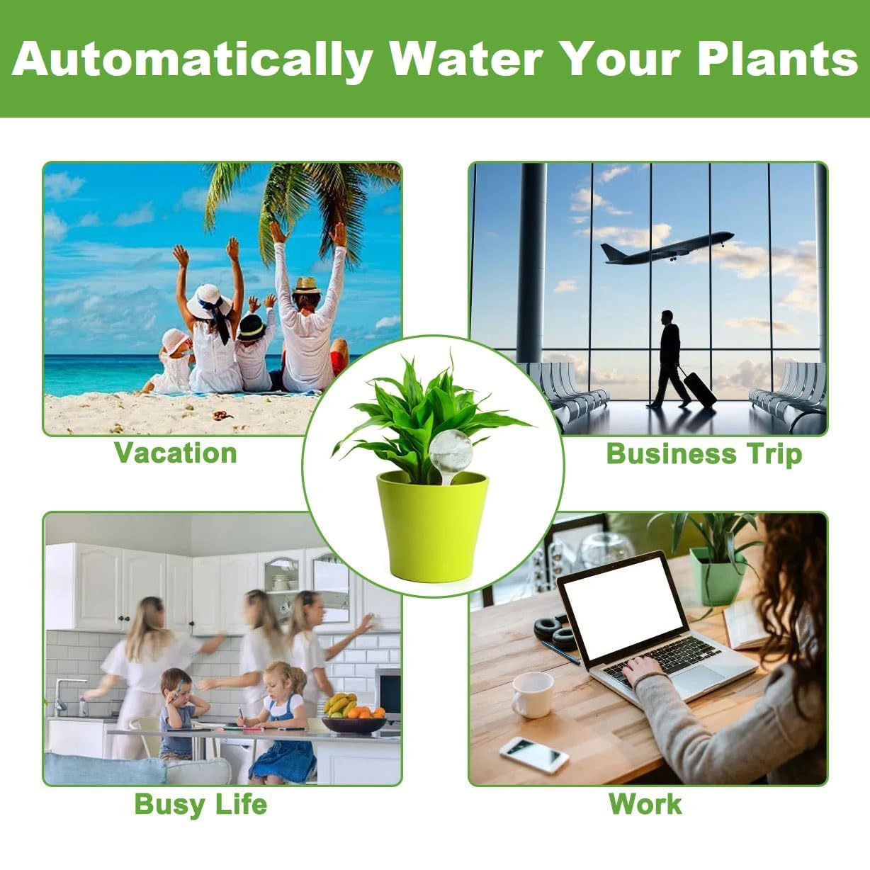 Alluring 6PCS Bewässerungskugeln für Pflanzen 80ml, Selbstbewässerung Watering Globes, Wasserkugeln für Pflanzen, Blumen Wasserspender für Urlaub Indoor Outdoor Balkon Blumentopf Topfpflanzen