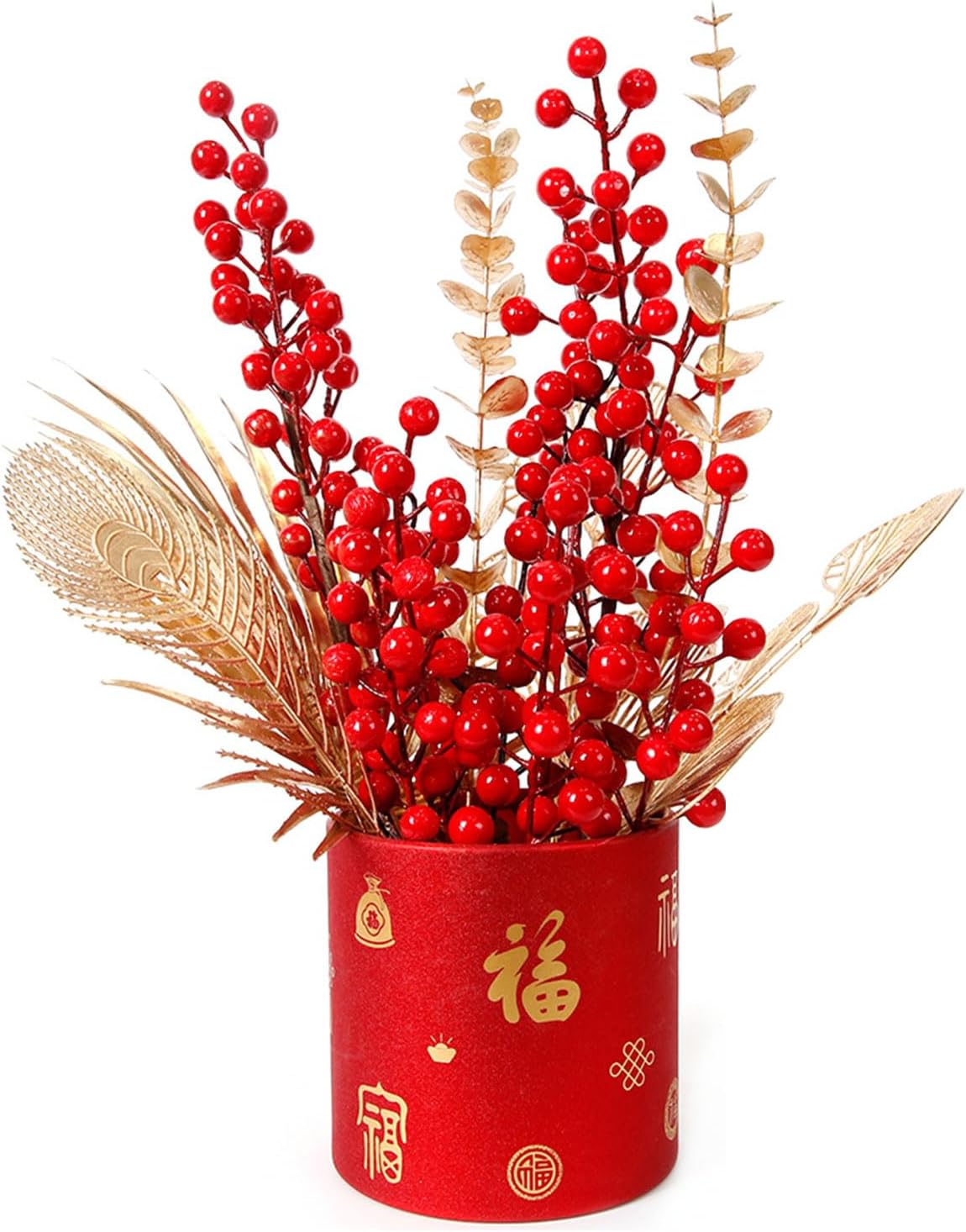 [親株・胞子嚢付き]P.Gorgonia 親株・胞子嚢付き]P.Gorgonia ショップ 親株・胞子嚢付き]P.Gorgonia