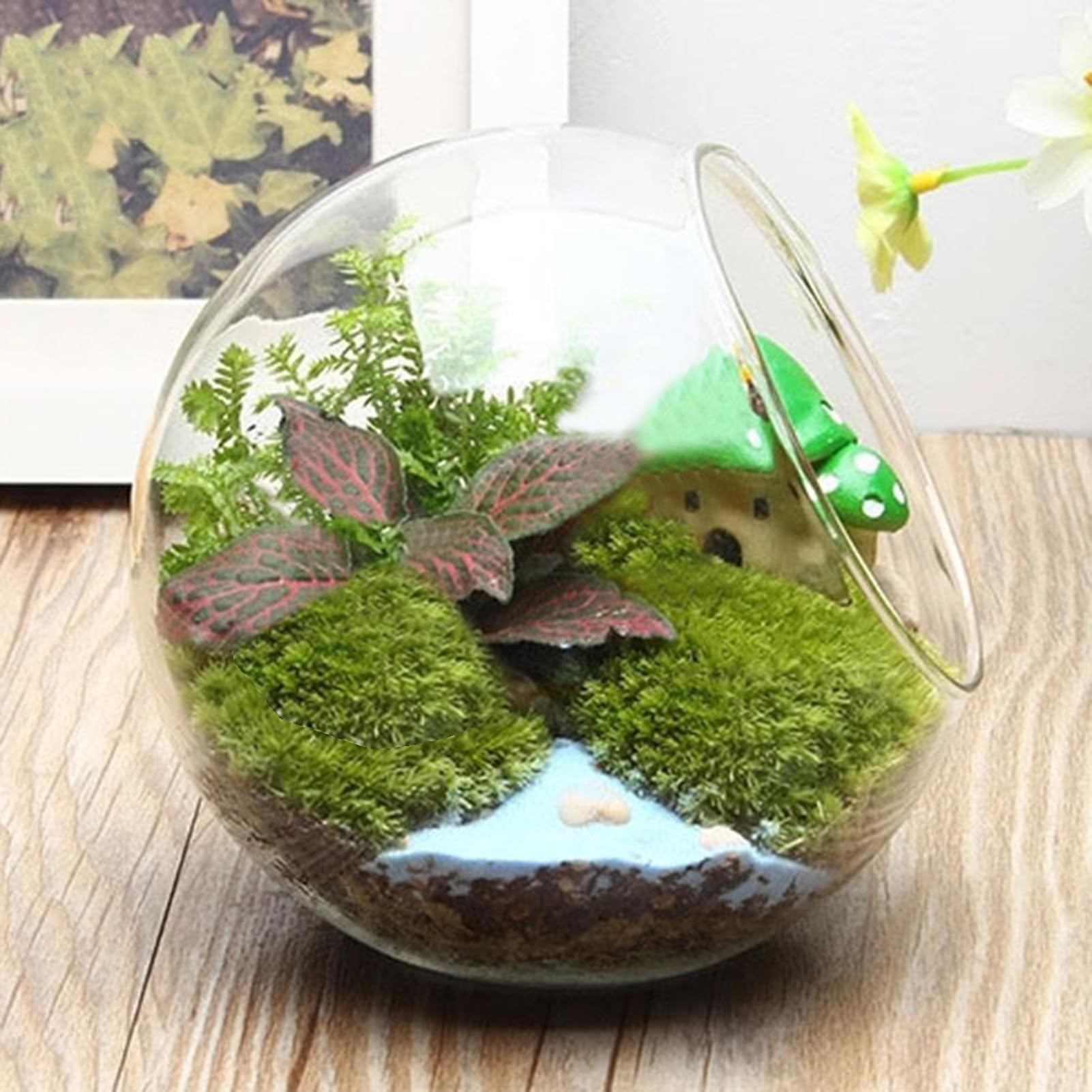 Terrario de cristal, jarrón para peces, terrario de maceta, tarro de terrario, maceta de cristal, jarrón de flores, contenedor de plantas de aire, decoración del hogar, centro de mesa para suculentas