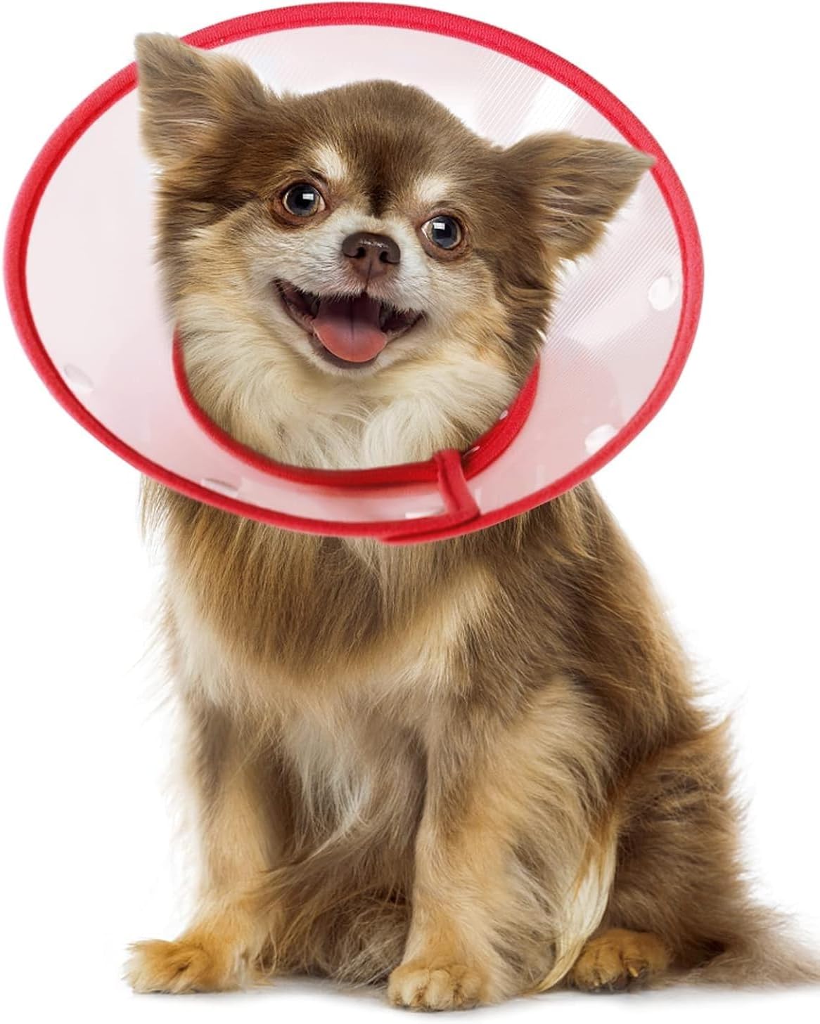 Dog Cones for Small Dogs, Adjustable Soft Lightweight Collar for Small Dogs and Large Cats to Stop Licking Wounds After Surgery (Red, XL)