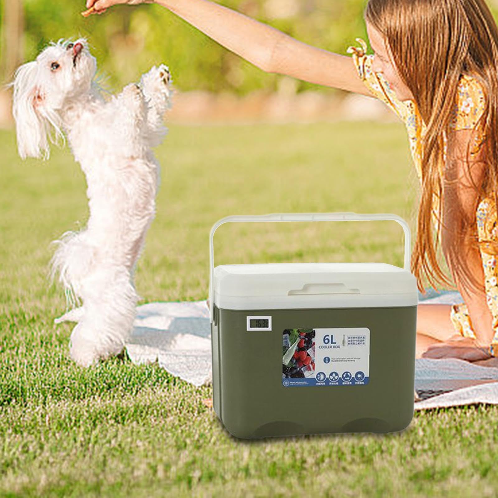 Nevera Portátil de 6 litros para Congelar Alimentos Calientes. Caja Isotérmica Pequeña para Uso Comercial, Playa, Picnic, Bebidas Deportivas Y Leche M