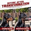 Hocico de perro monstruo, nuevo hocico aterrador de Halloween 2026 | Disfraz para perros pequeños, medianos y grandes para fiestas de Halloween, truco o trato con correas ajustables 5