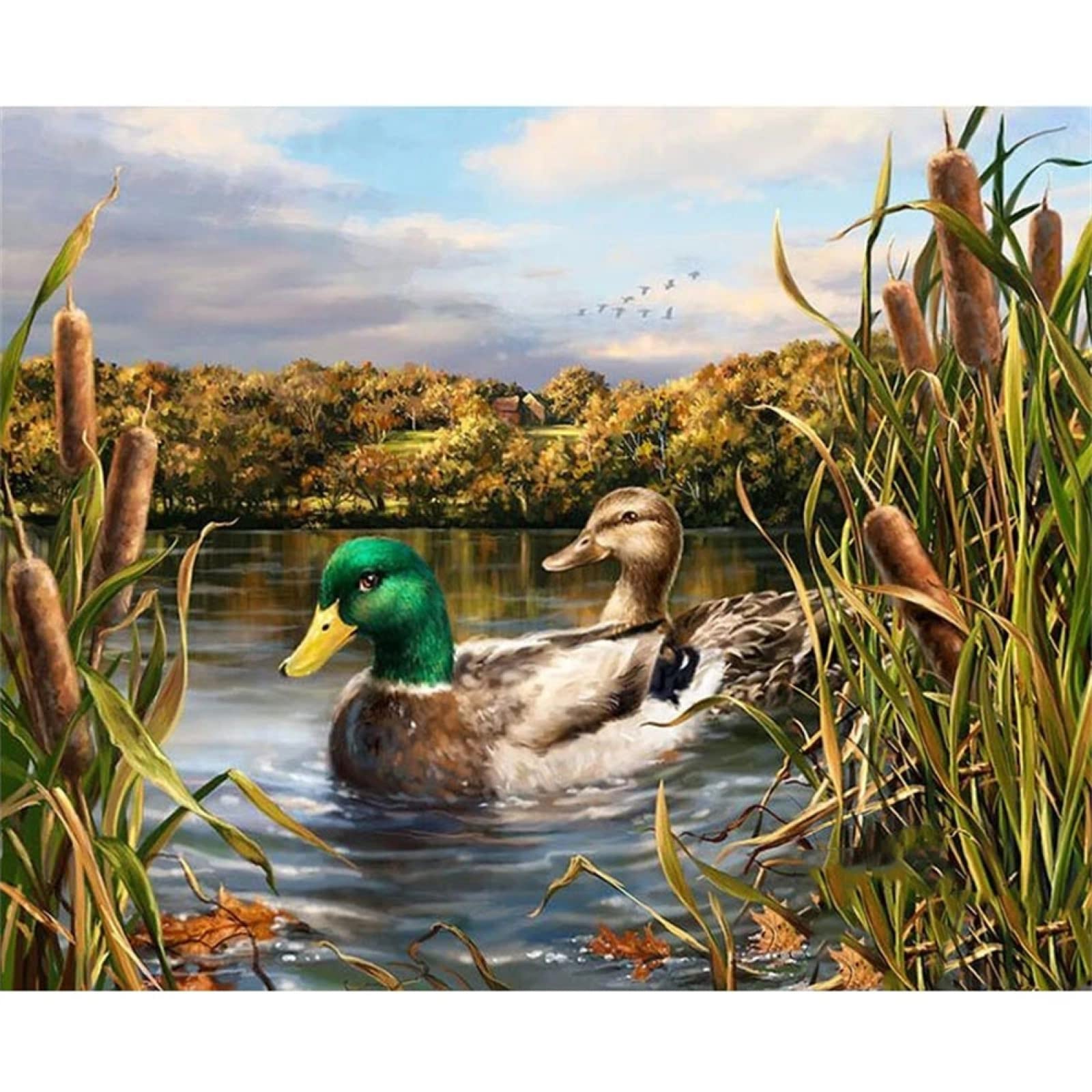 5D Fai da Te Diamante Pittura Trapano Completo Kits,Anatra selvatica DIY Kit Diamond Painting Ricamo a punto Croce Art Pittura a Mosaico Decorazione della Parete di casa 25x30cm/10x12inch Square
