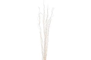 "Create Instant Rustic Charm with White Birch Branch Decor"