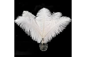 20 Count Natural Large White Ostrich Feathers (10-12 Inches) for Decoration and Crafts