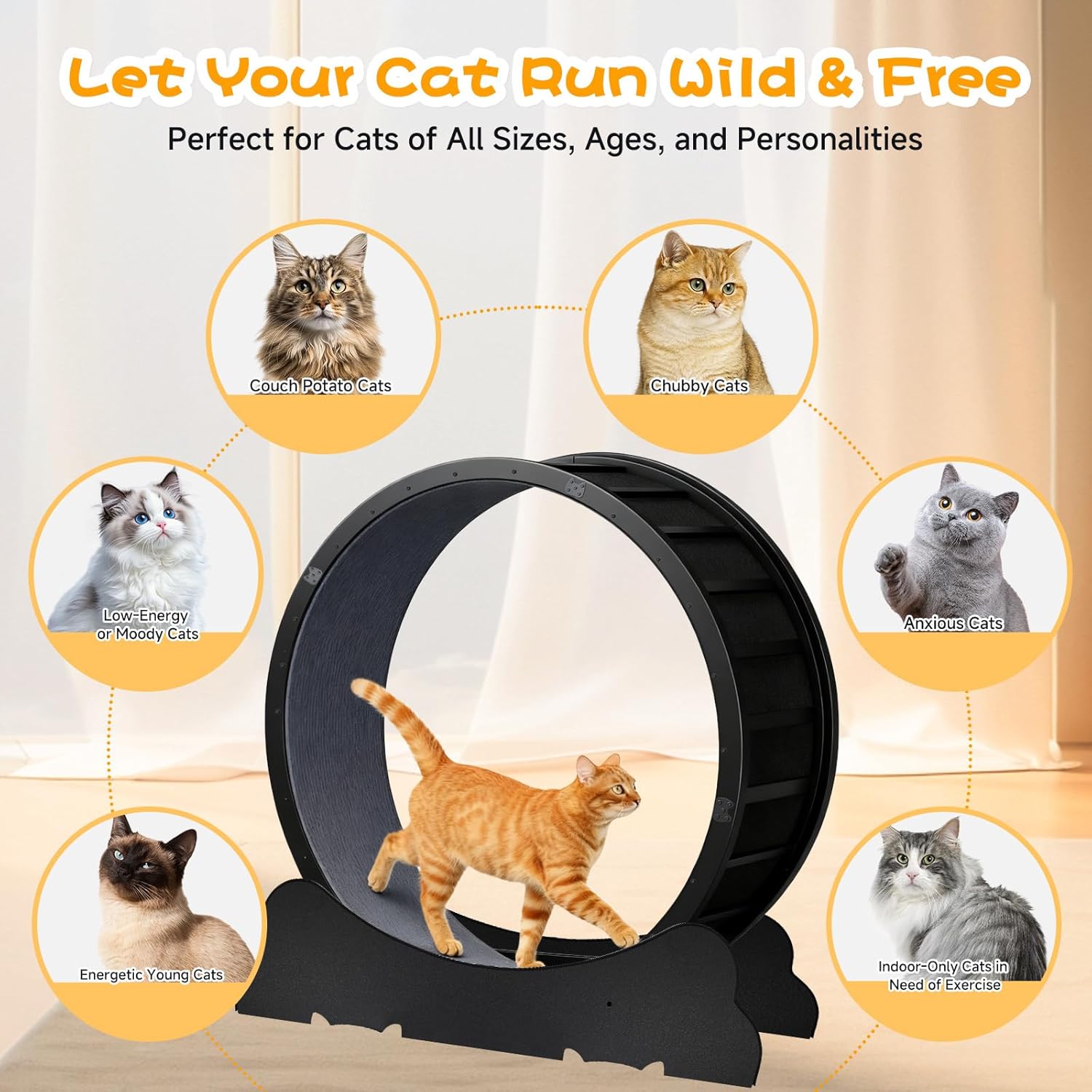 GTRACING Cat Wheels, 40" Diameter, Large Cat Exercise Wheel for Indoor Cats cat Treadmill Metal with Detachable Carpet & Teaser/Stickers, Ultra-Quiet Scroll Wheel with Latch, Safe, Black Ears-2 Style