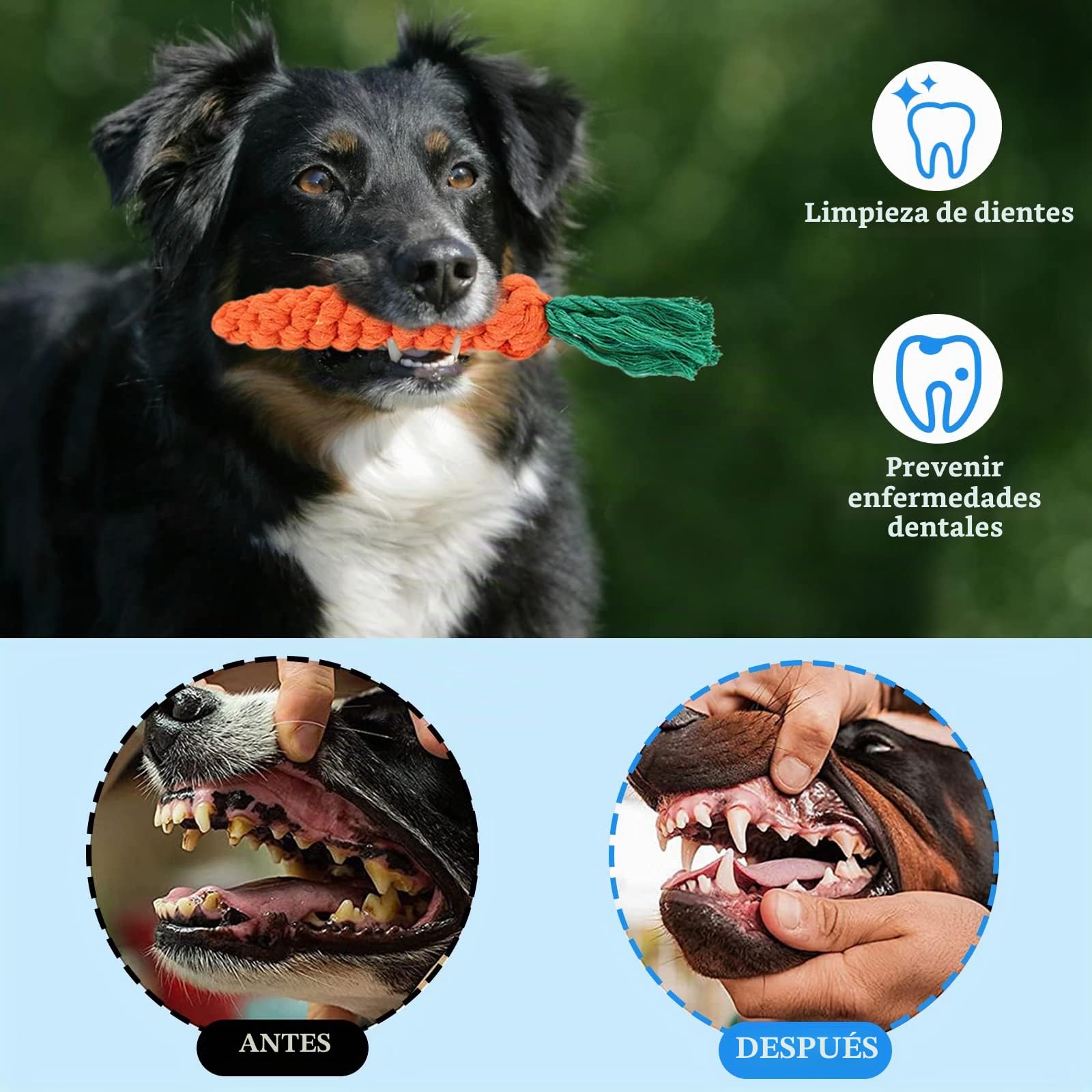 Juguetes para Perros, 19 Piezas, Cuerda de Perro de Juguete,Cuerda de Bola de algodón Natural para Masticar los Dientes de Cachorro,medianos y pequeños Juguetes interactivos