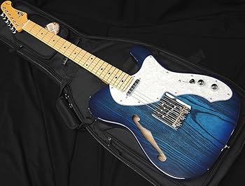 【美品】Fujigen NTE100MAHT テレキャスターシンライン　最終値下 imgrc0125534611.jpg