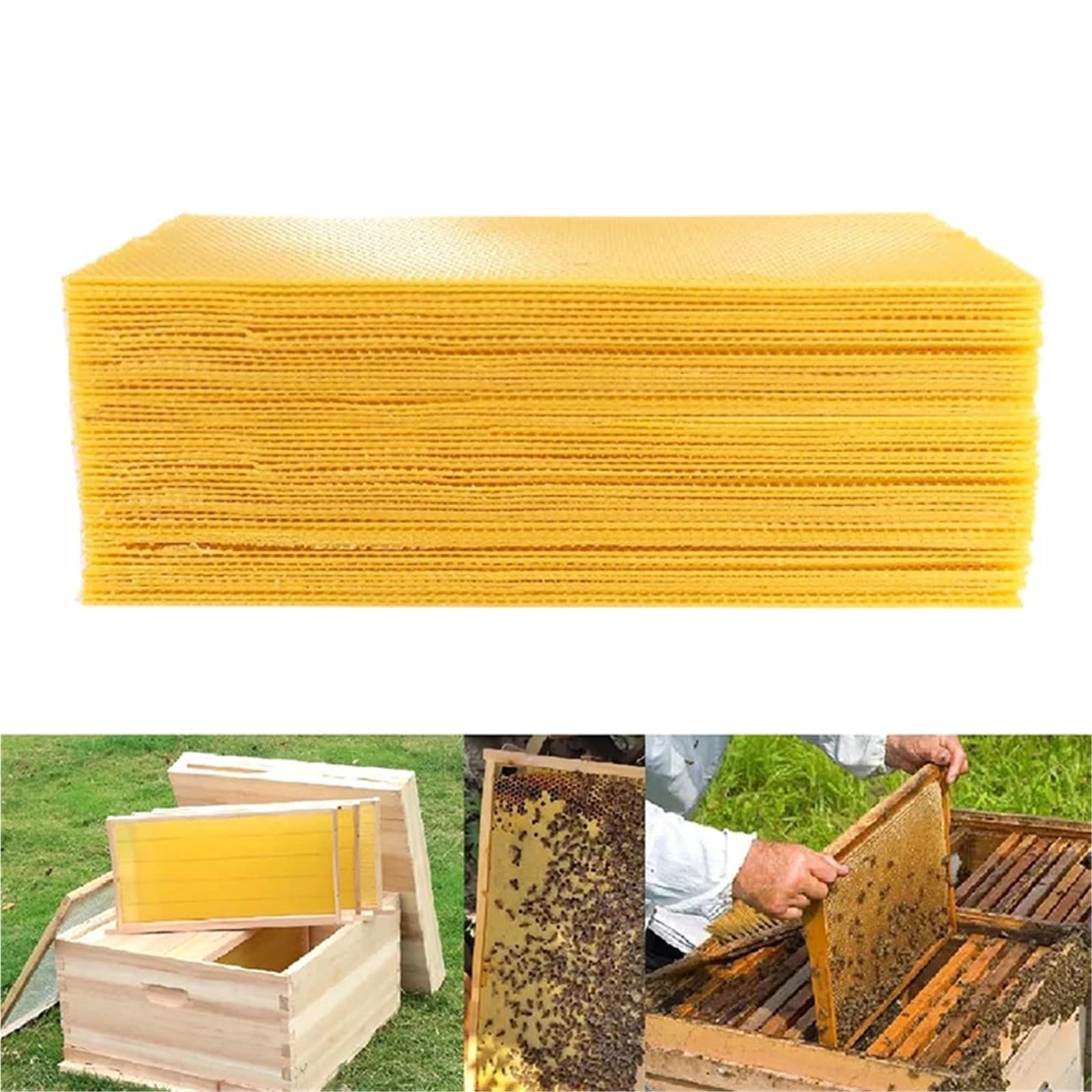 30 láminas de base for colmenas, láminas de base de cera de abejas profundas for de abejas, herramienta de apicultura, 41,5 x 19,5 cm