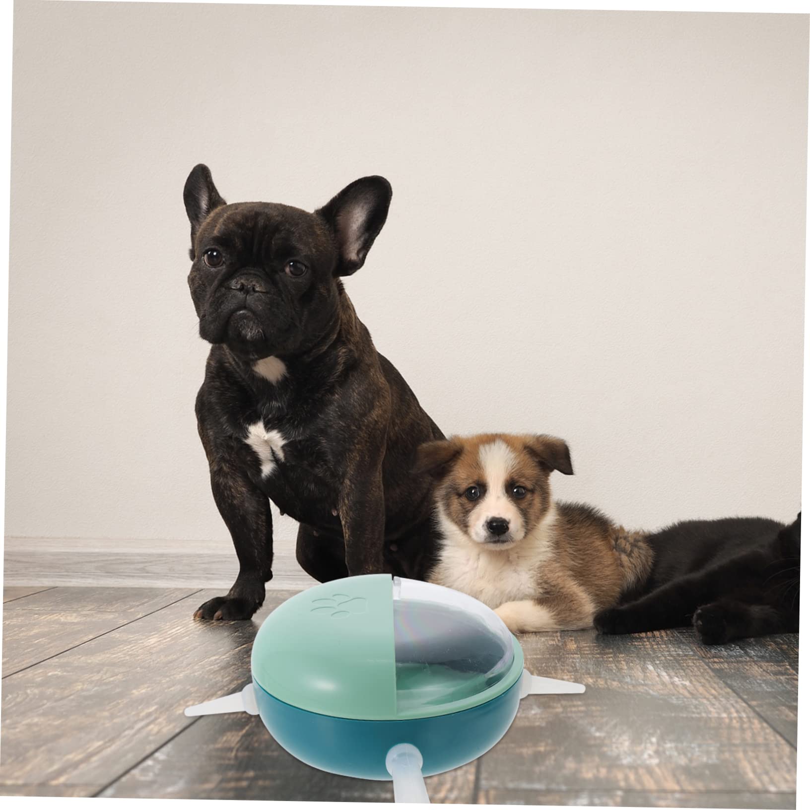 3 Piezas Dispositivo De Lactancia Herramienta De Alimentación De Cachorros Tazones De Leche para Perros Recién Nacidos Cuenco para Perros Tazones De Leche para Gatitos Páginas Blue