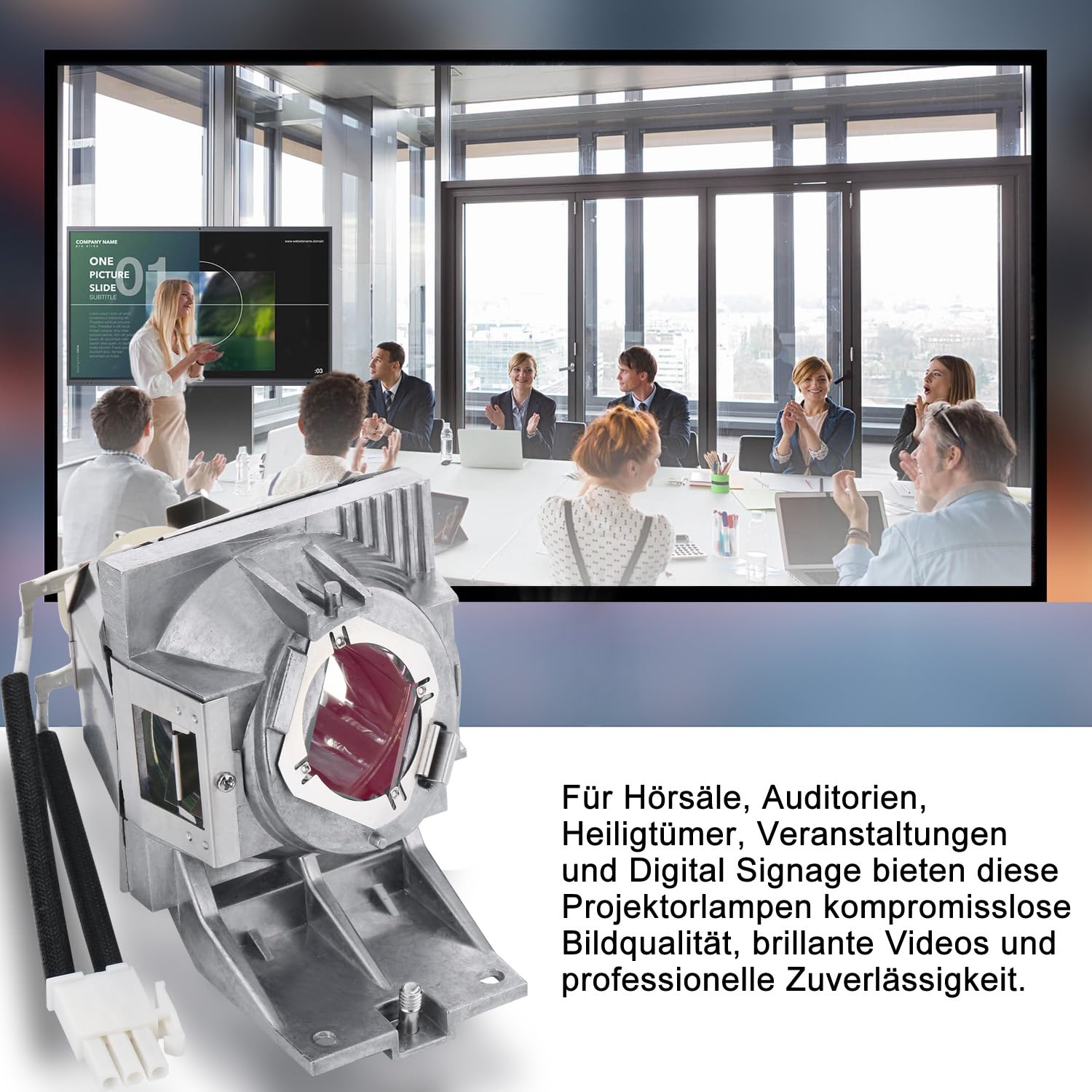 BenQ Lampe de Vidéoprojecteur W1700 W1720 W1800 HT2550 TK800 TK700 MH550 MU607