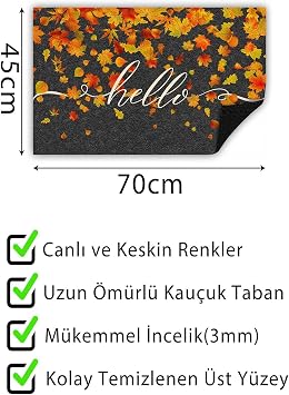 Monnhein Dekoratif Kapı önü Paspas, Dış Mekan/Ev İçi/Banyo/Mutfak/Yatak Odası/Giriş Paspasları Sonbahar Hello