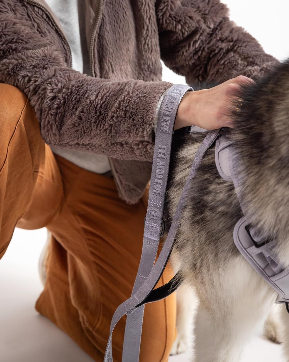 Fei & Eve Classic Dog Leash - 6FT, Dual Padded Handles, 360° Swivel Hook, Heavy Duty 210D Nylon - No-Pull Design with Traffic Control Handle - for Small/Medium/Large Dogs, Gray