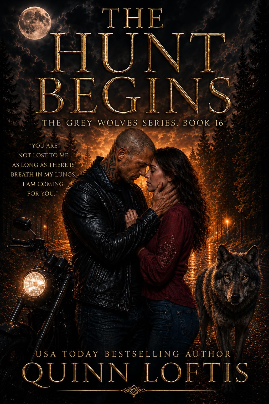 The Hunt Begins: Book 16 of the Grey Wolves Series