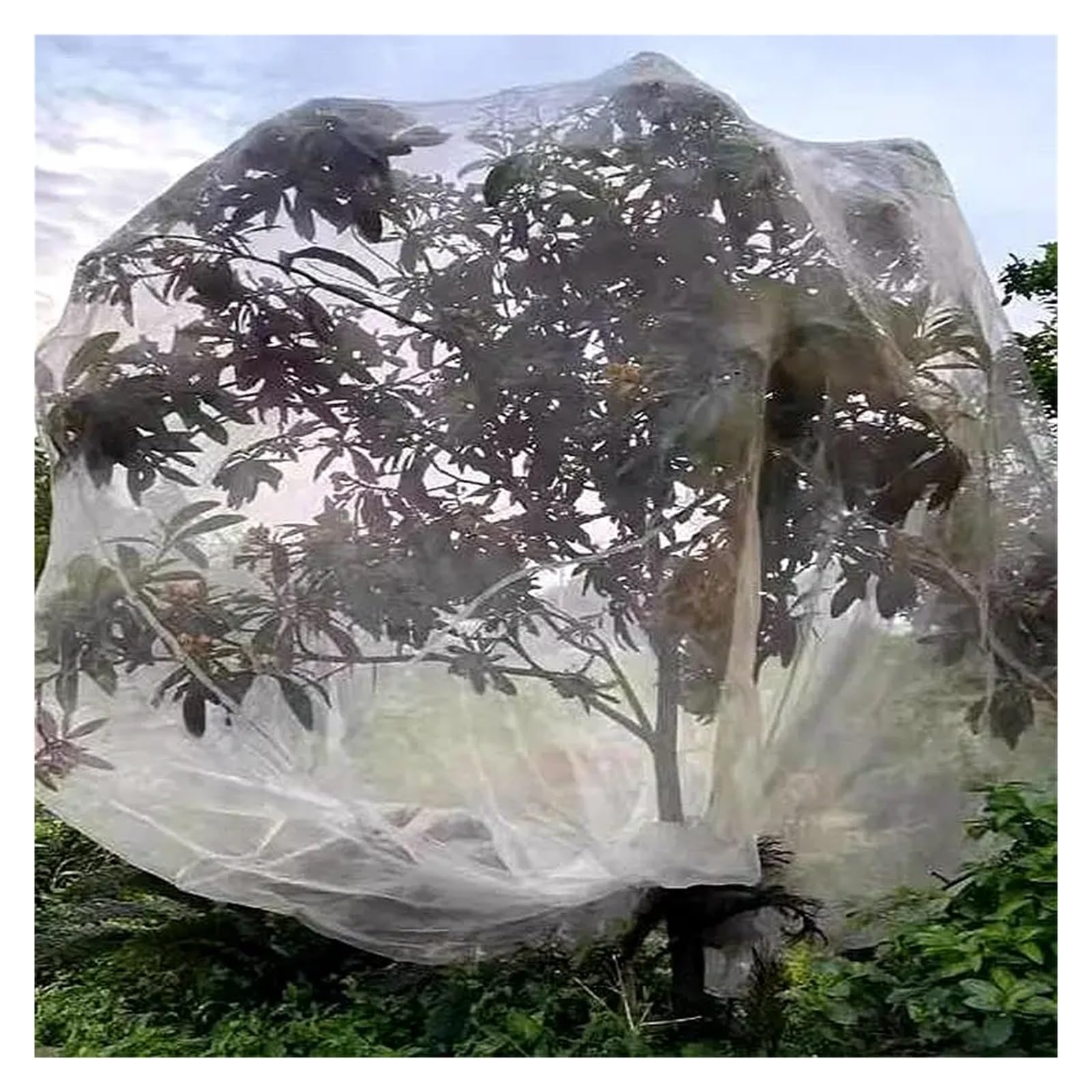 Esta Malla antipájaros de Nailon de 60 Mallas (4 m x 10 m) Protege Las Plantas, Cultivos frutales y arbustos. Es una Malla de jardín Duradera Que Protege los árboles de Las Aves.