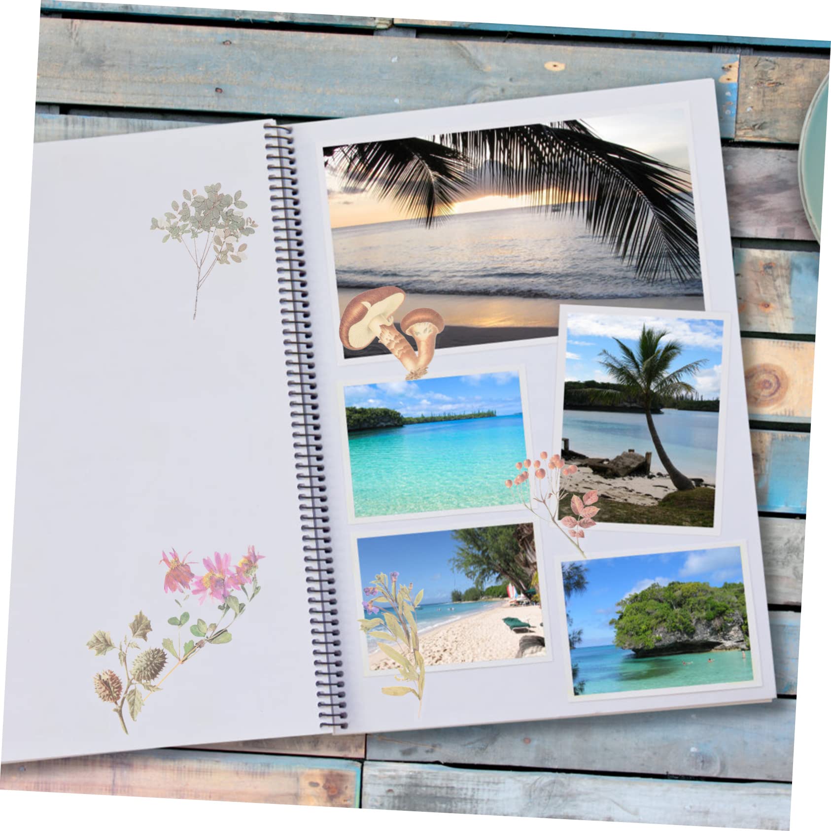 Tofficu 600stücke Pflanzenaufkleber Im Vintage-stil Wasserdichte Transparente Pet-dekorationsaufkleber Für Scrapbooking Und -handarbeiten Blumen Und Pilzmuster Für Notizbücher Und
