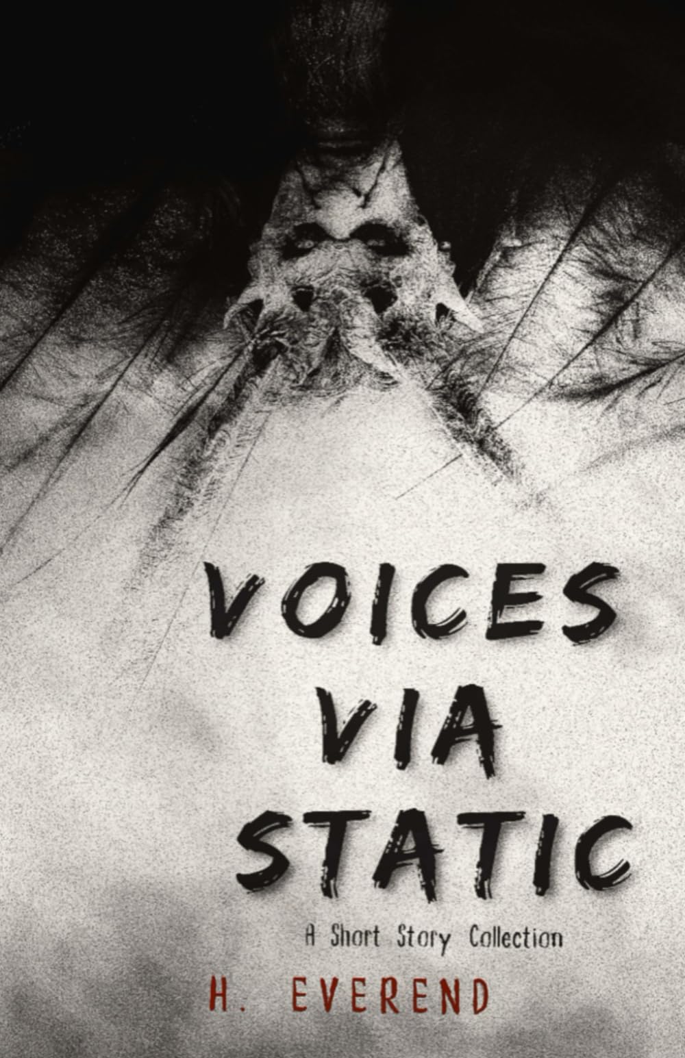Voices Via Static: A Short Story Collection