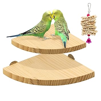 suruikei 2 Pack Bird Perch Platform, Parrot Stand Sector Playground Wood Perch Stand Toy Cage Accessories Exercise Toy for Parakeet Conure Cockatiel Budgie Gerbil Rat Mouse Chinchilla Hamster (Set 2)