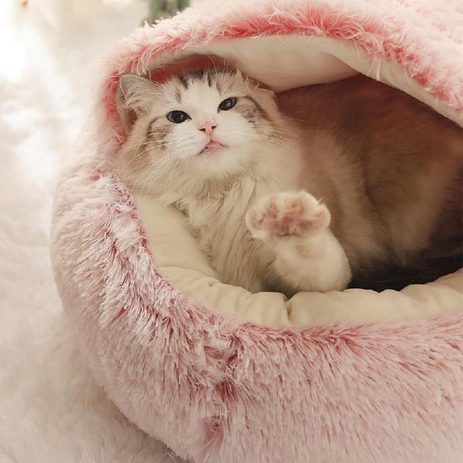 Beskie Calming Dog Bed & Cat Bed, Fluffy Plush Puppy Cushion, Kitten Cave, Small Dog Donut Cave, Indoor Cat Sleeping Bag - Image 4