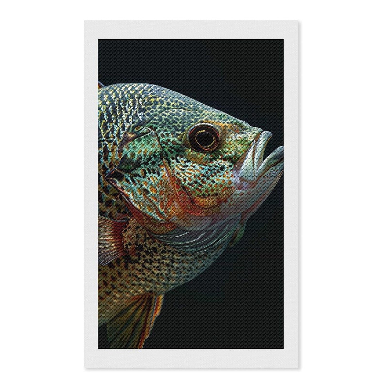 Junmoney Crappie Fish Diamond Painting Canvas Set 12"x20", Easy to Enjoy, Adhesive Canvas, Office Decor, Holiday Gift Idea, with Tool Kit