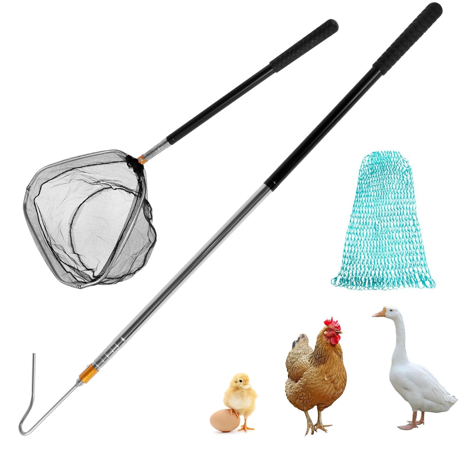 Filet de pêche pour poules et chats 50 x 30 x 15 cm, filet d'atterrissage avec cadre renforcé
